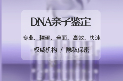 西藏权威私密亲子鉴定中心地址在哪里