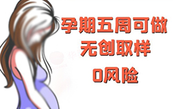 西藏孕期亲子鉴定机构地址电话查询(附2025年鉴定手续)