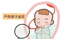 西藏孕期亲子鉴定的流程(挂号预约)