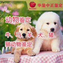 西藏动物鉴定