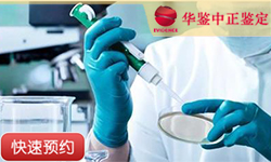 西藏同一父系亲缘鉴定